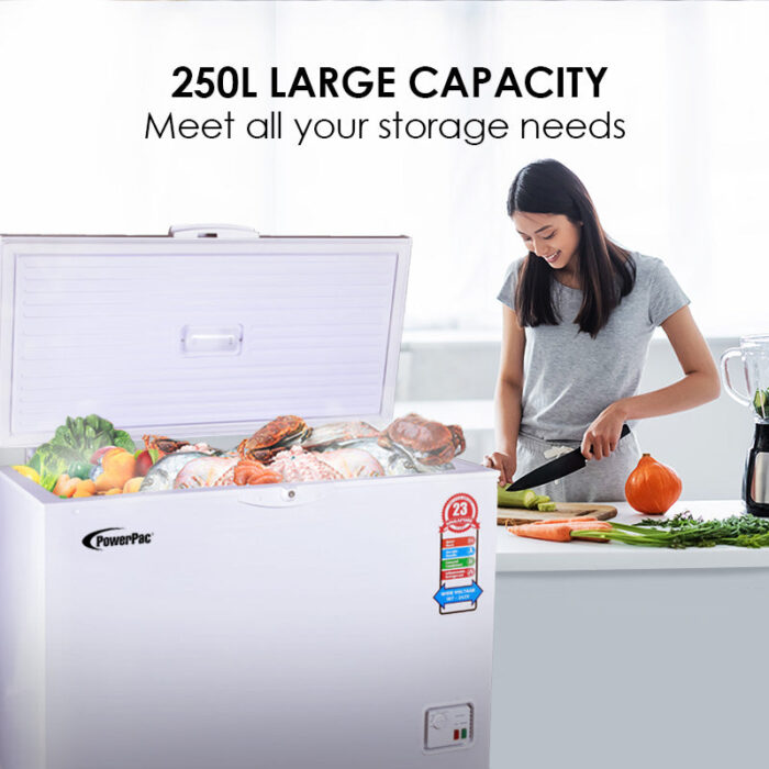 PPFZ250 4 home powerpac kitchen freezer singapore electrical appliance electrical chiller 2048x 759079ab 28aa 4089 9f98